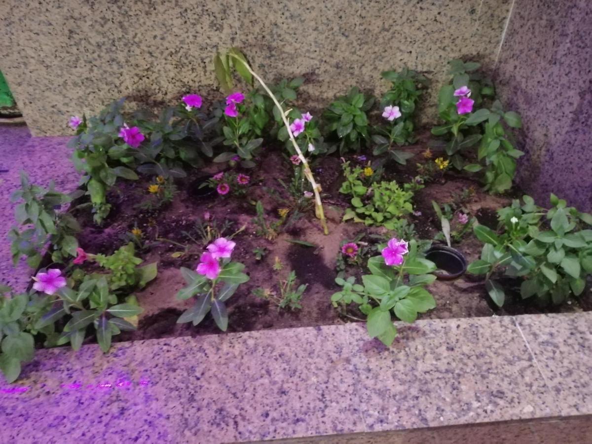 Khobar Fantastic Furnished Apartments 외부 사진
